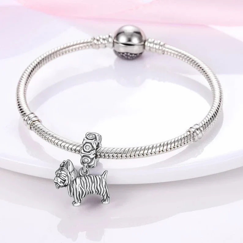 Yorkshire Terrier Charm