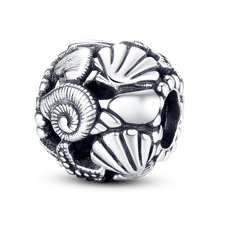 Sphere Seashell and Seashell Charm